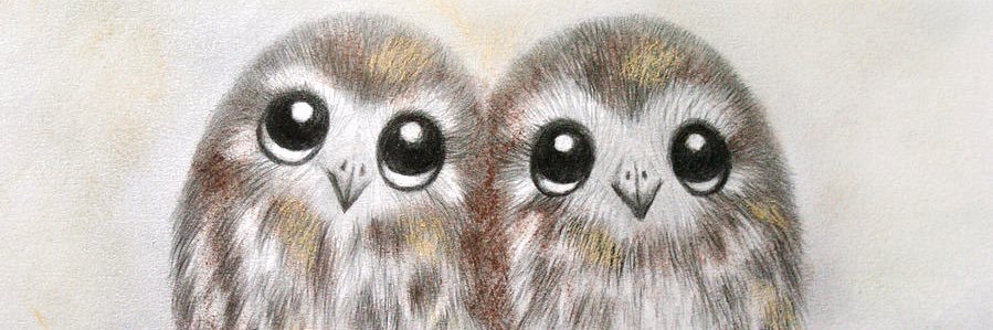 trishw528's profile banner image