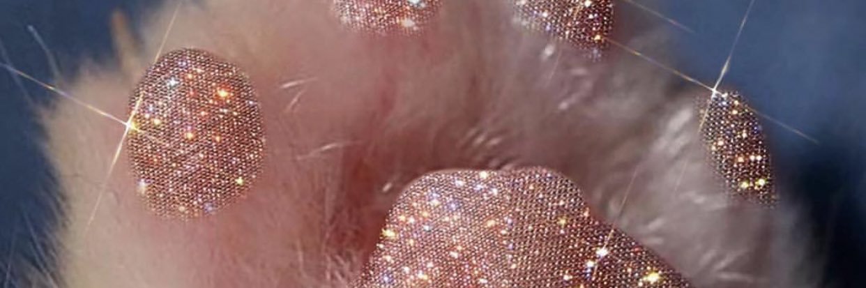 itstamiaa_'s profile banner image
