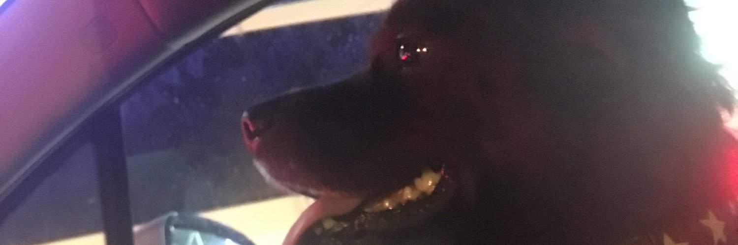 matthewmccray's profile banner image