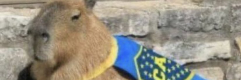 JuaNeteDP's profile banner image