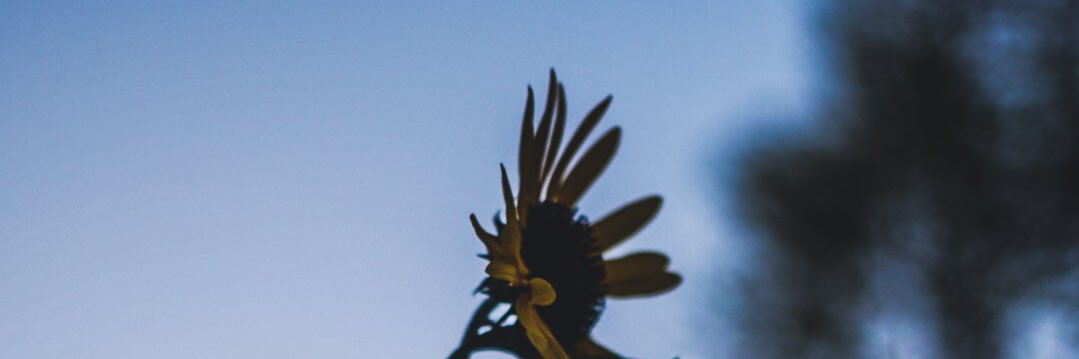 ___akyane's profile banner image