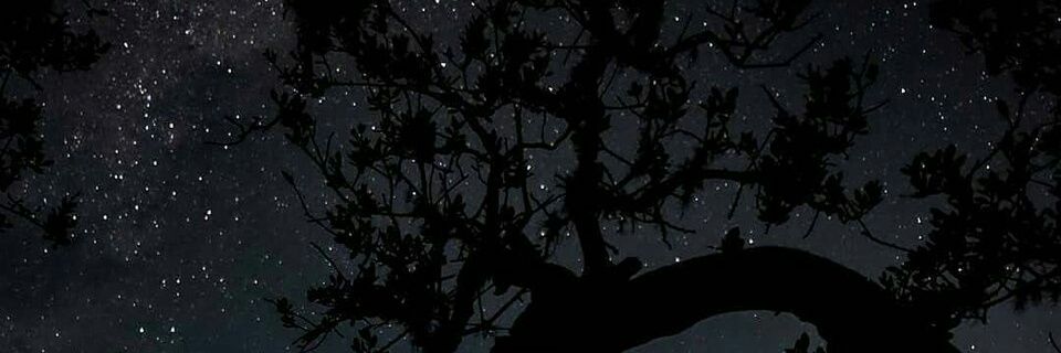gastineee's profile banner image
