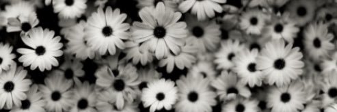 JD__Landis's profile banner image