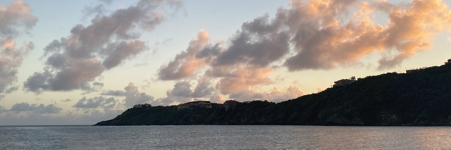 MckenzieFannin's profile banner image