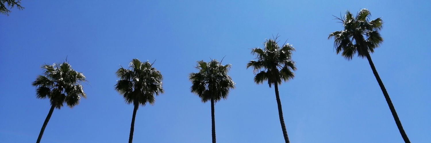 BustosCristobal's profile banner image