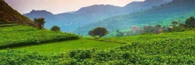 albtaar20's profile banner image