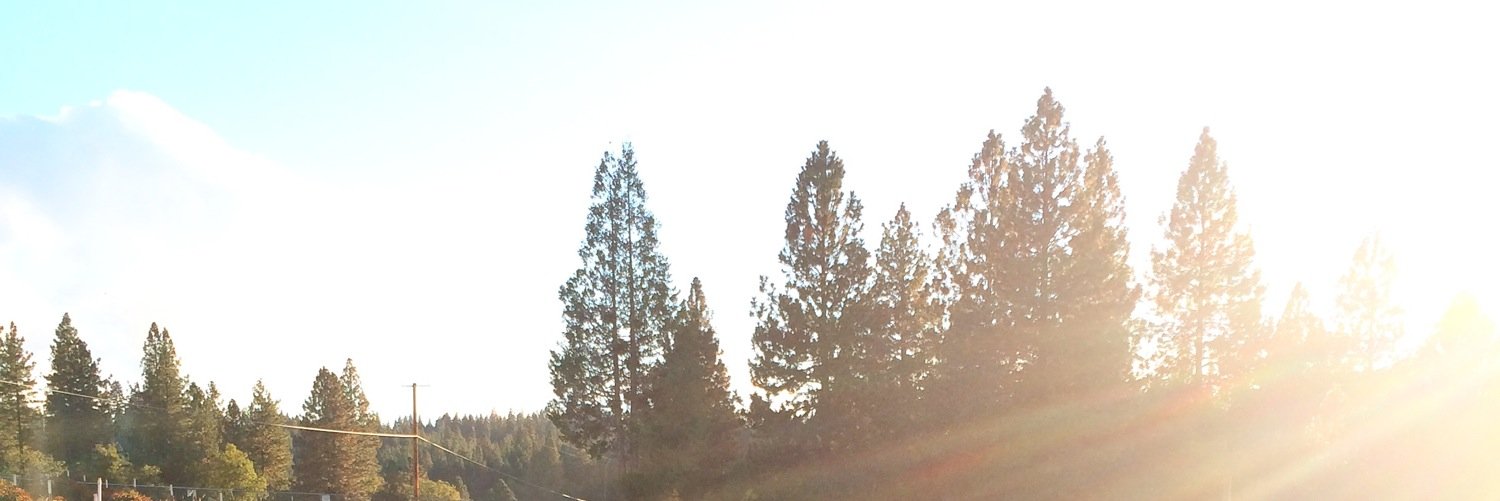 EmilyRiedell's profile banner image