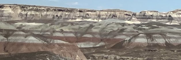 Delta Flute banner