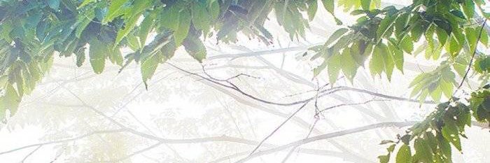 chixquotes's profile banner image
