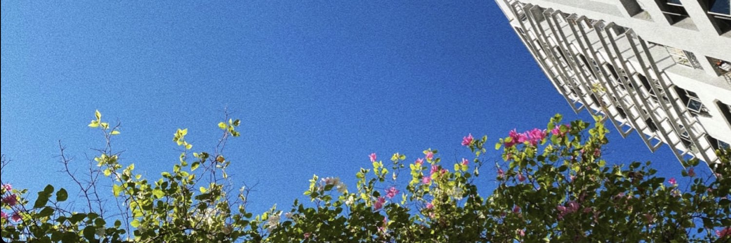 wanlingzx's profile banner image
