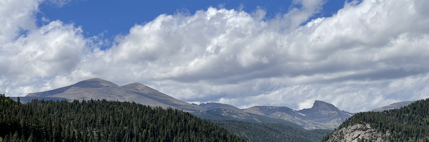 carleyschumann's profile banner image