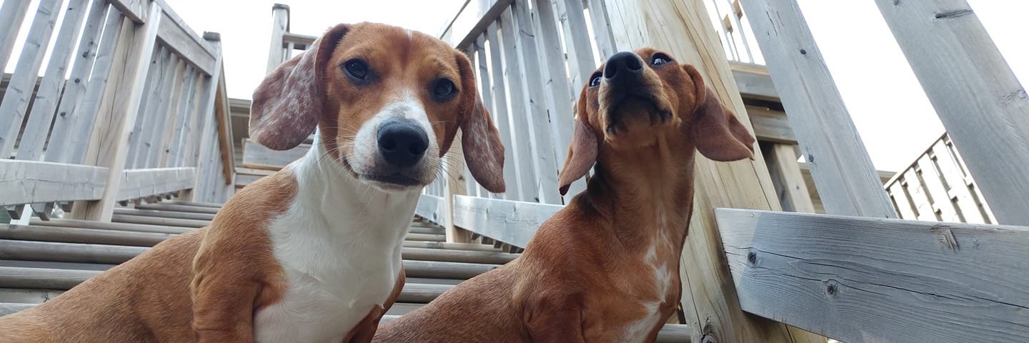 CLHMurray's profile banner image