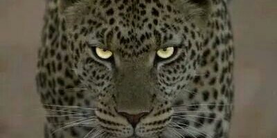 atout_adv's profile banner image