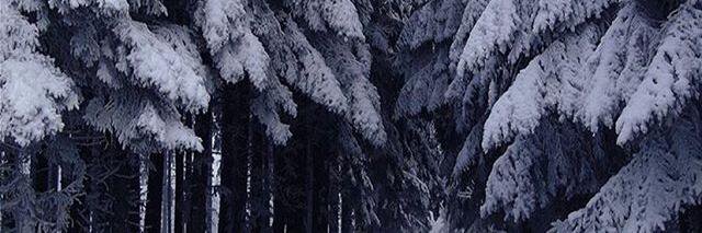 omglikeyeh's profile banner image