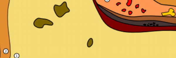 DerBuddler Profile Banner