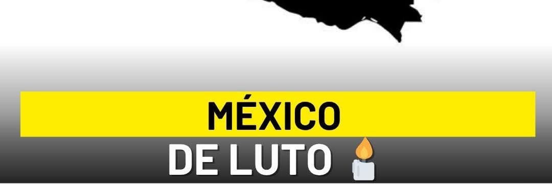 Silvia NS banner