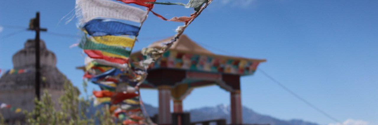 nischitav's profile banner image