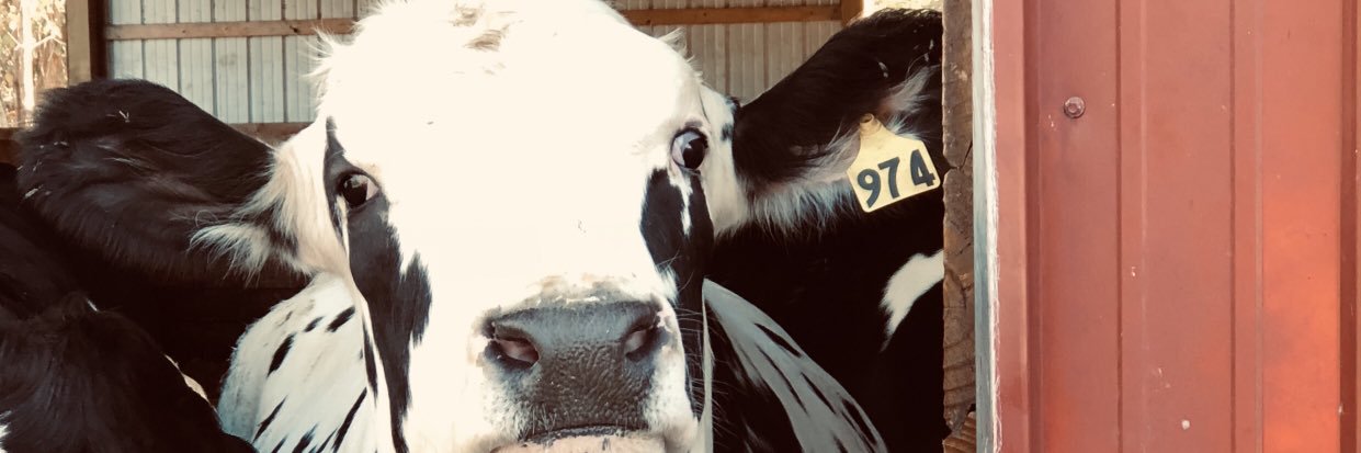 MeghanMott's profile banner image