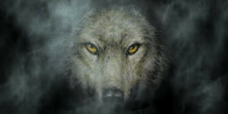 GerdyK's profile banner image