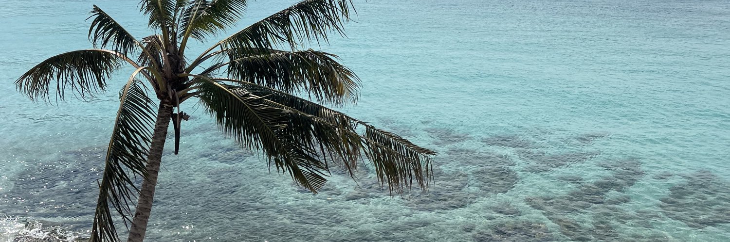 kmkppch's profile banner image