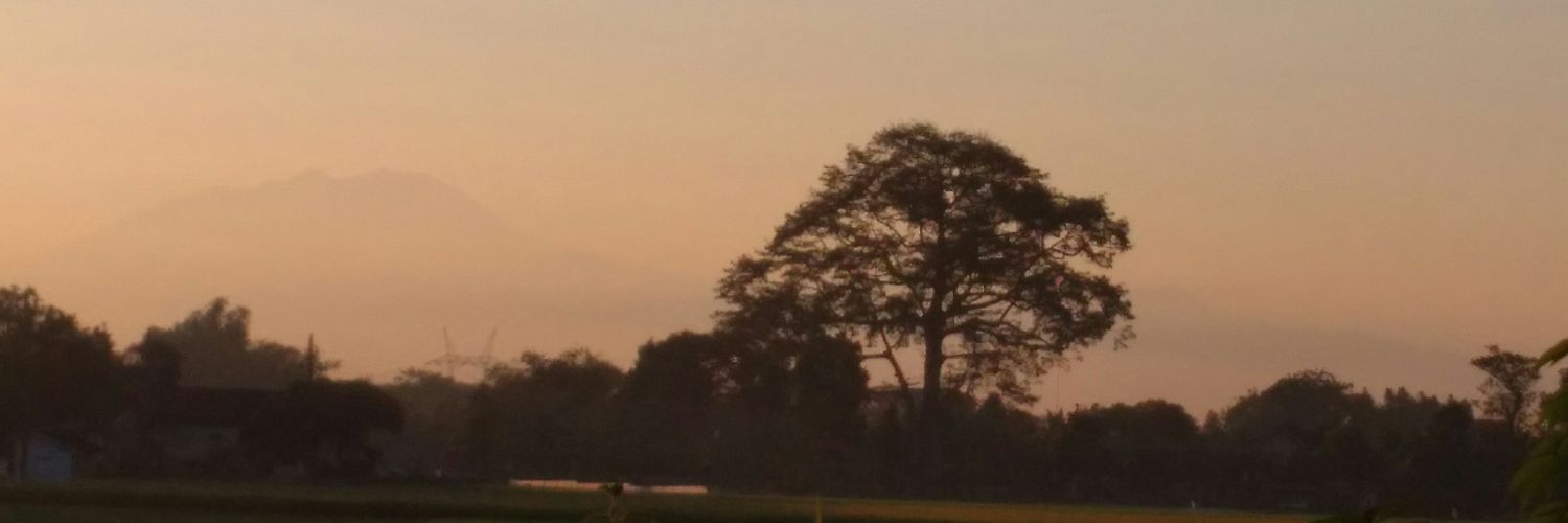 Purbo_H's profile banner image