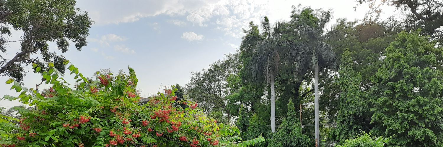 MaltiMishra's profile banner image