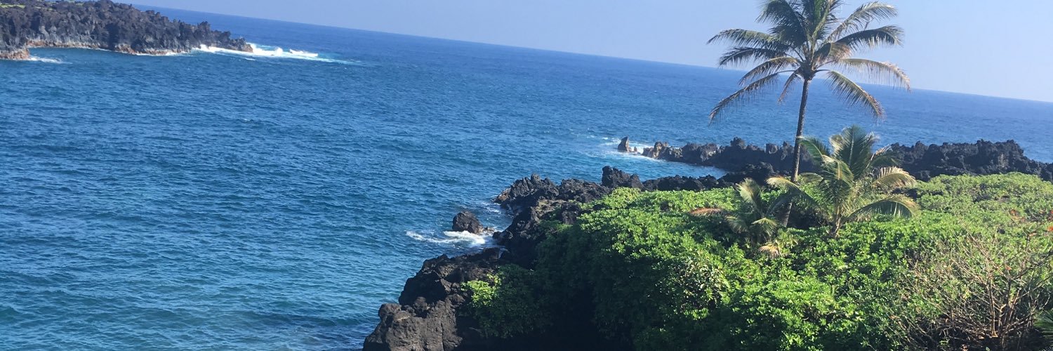 rowboogie's profile banner image