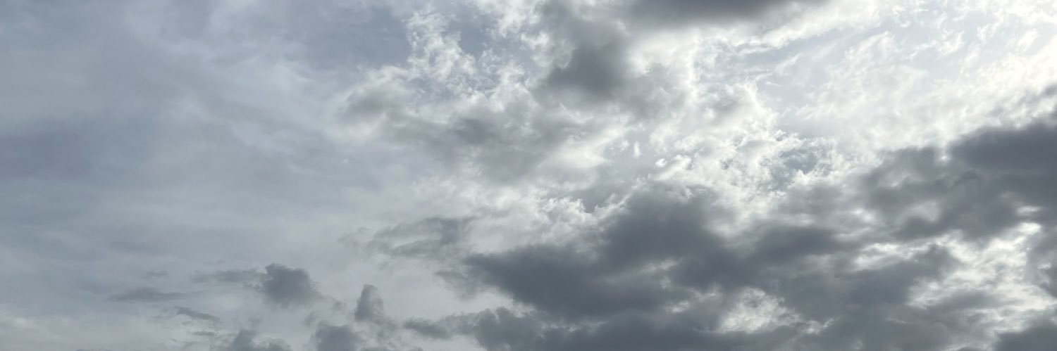 nrishaa_'s profile banner image