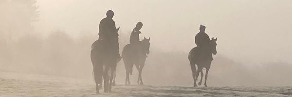 noelwilliams03 Profile Banner