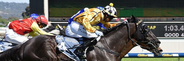 DylanCaboche Profile Banner