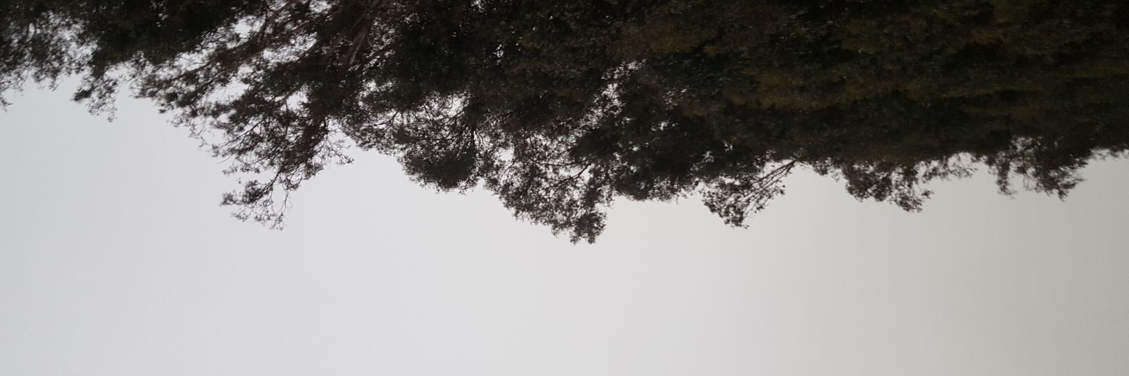 stxrdusty's profile banner image