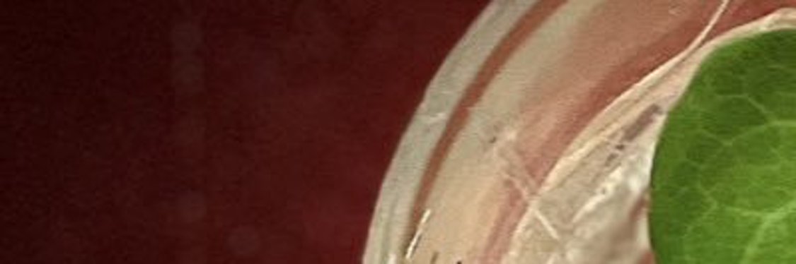 SianWeinstein's profile banner image