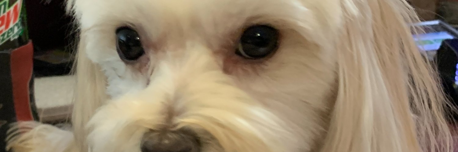 Gimme40's profile banner image