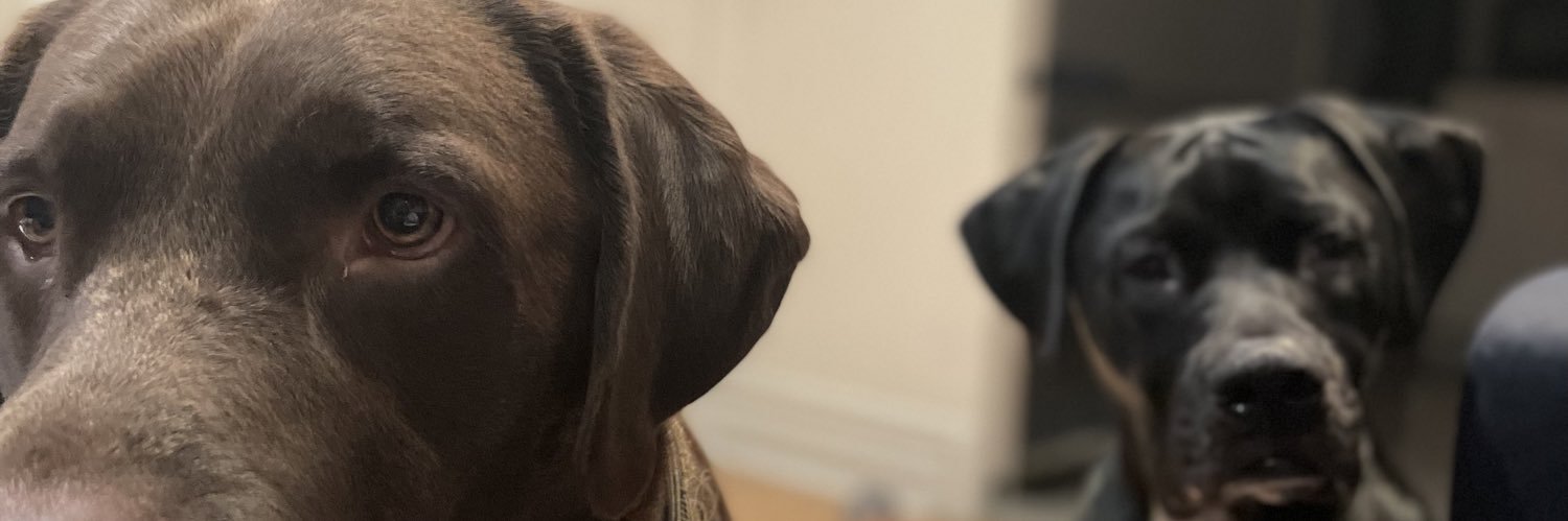 Connor_Halligan's profile banner image