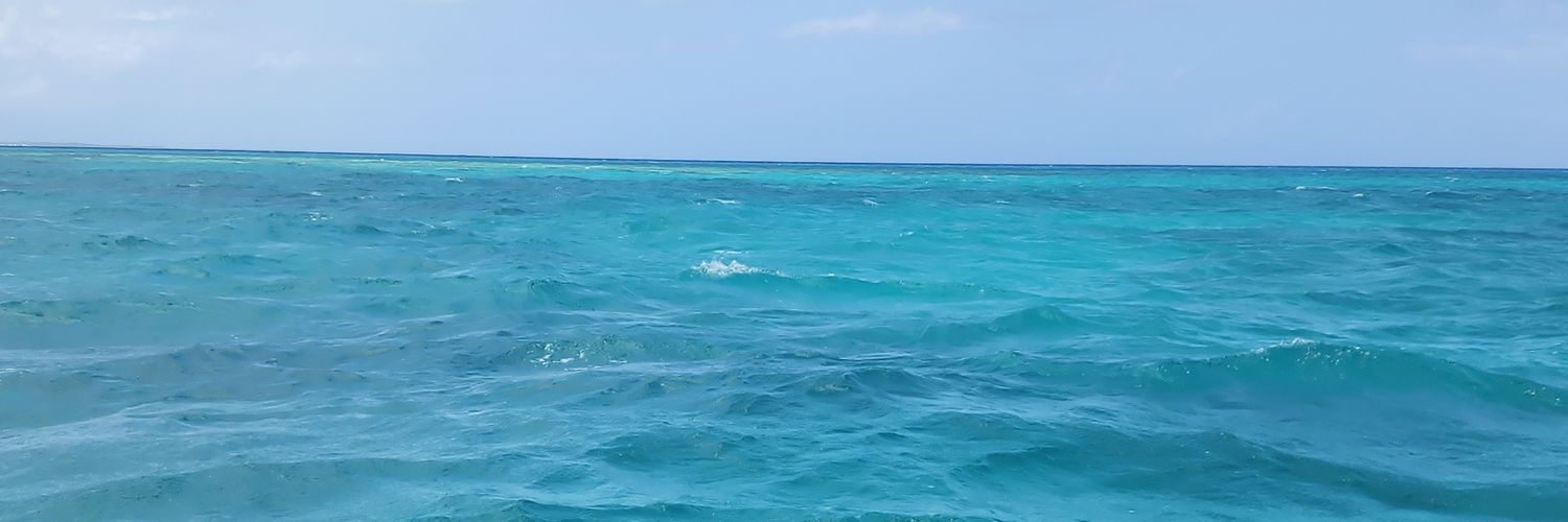 Jakelina__'s profile banner image