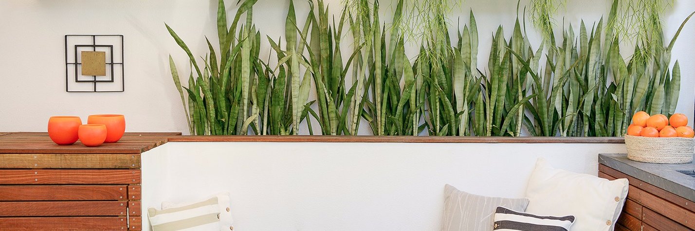 StylishGardens's profile banner image