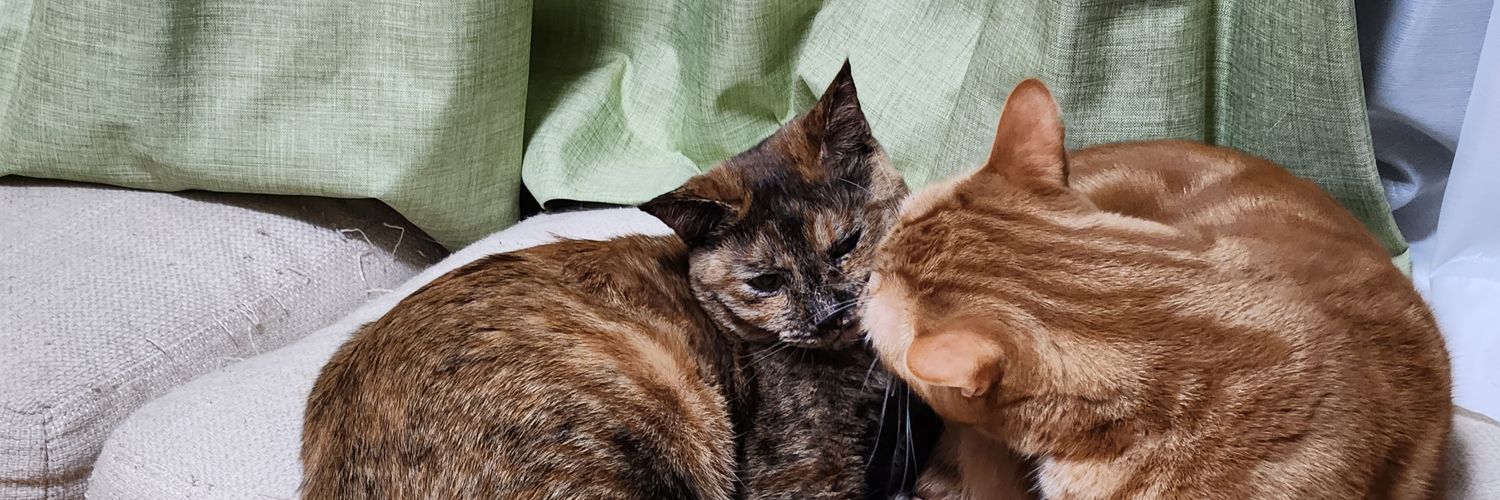 チャニと我が子(猫）が生きがいw banner