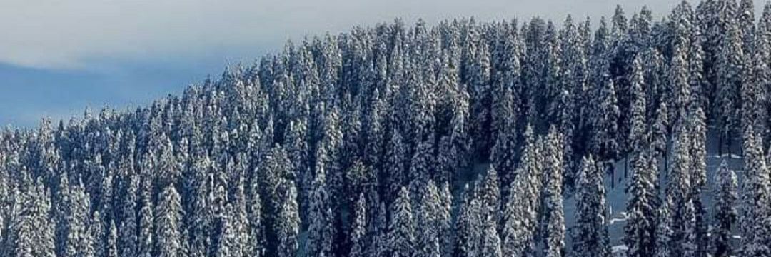 @ittkashmir banner