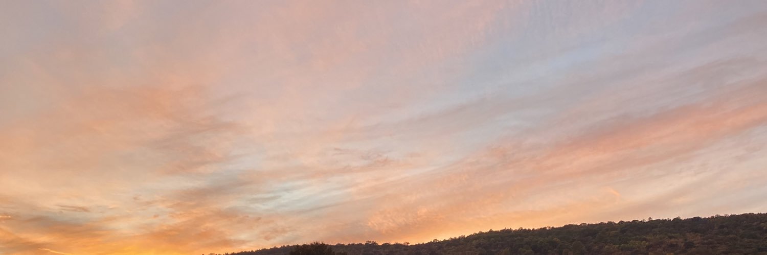 MicklePickle001's profile banner image