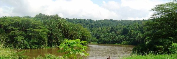 DidierNAMA Profile Banner