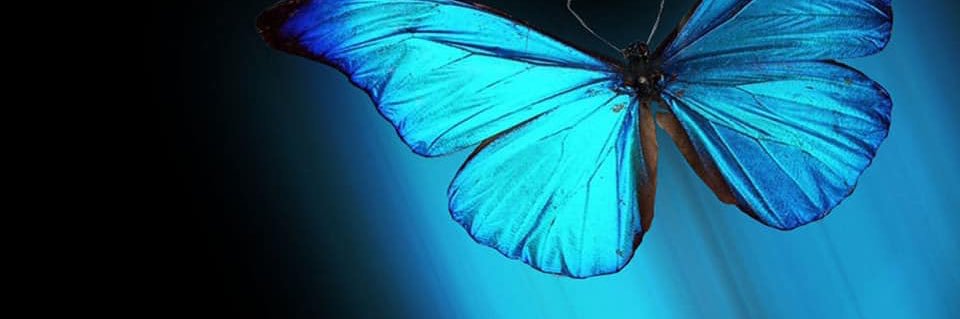 destinysharene's profile banner image
