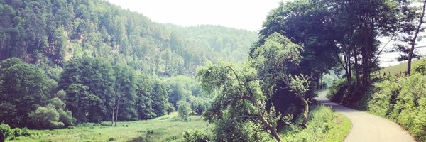 stoneh Profile Banner
