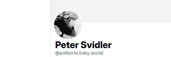 Peter Svidler banner