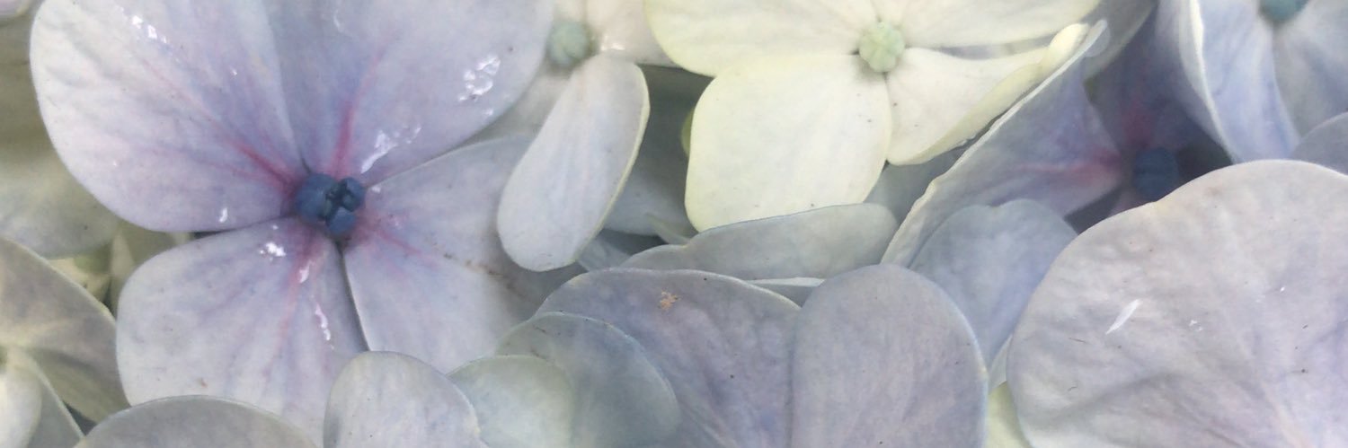 joon_eun's profile banner image