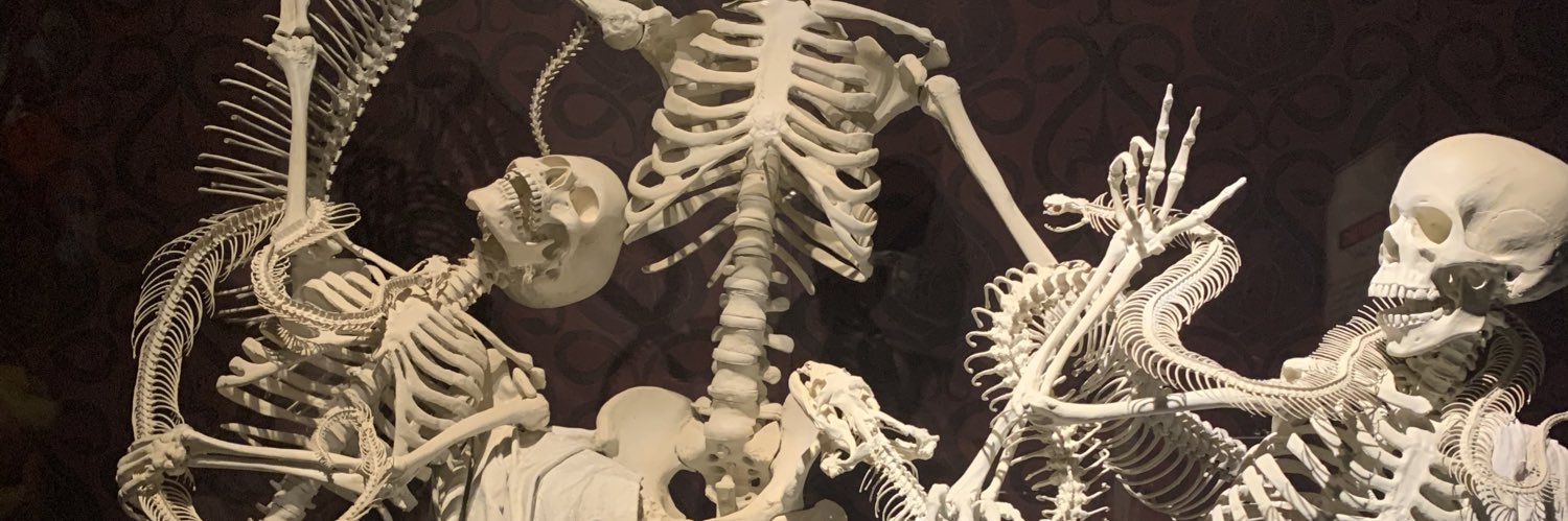 cat_asstrophe's profile banner image