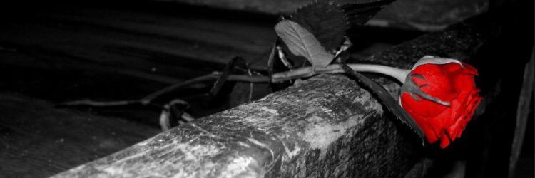 Jeffrie Geovanie banner