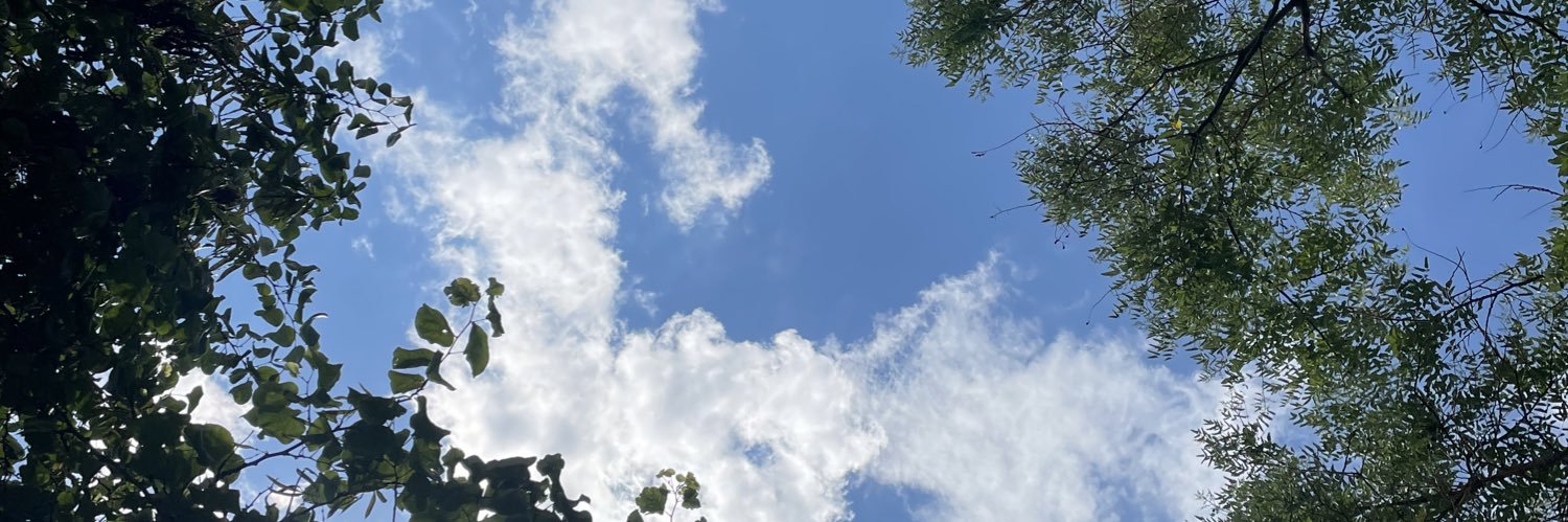 Lorena Alemán Aróstegui banner