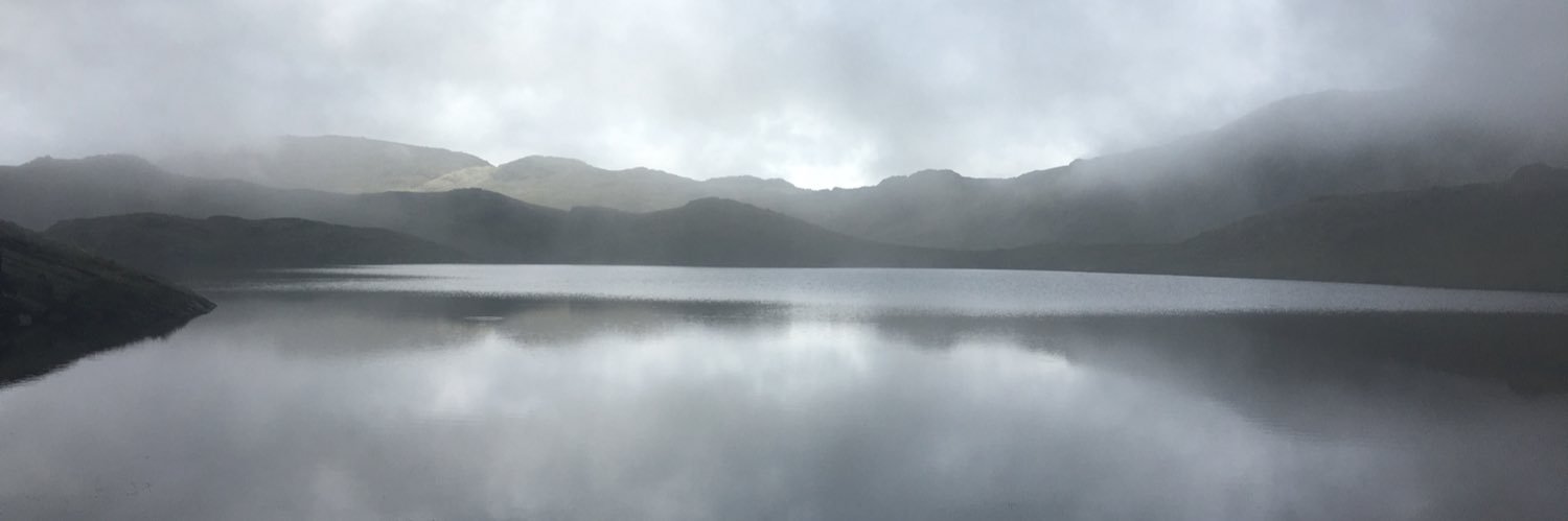 NicoGroen1's profile banner image