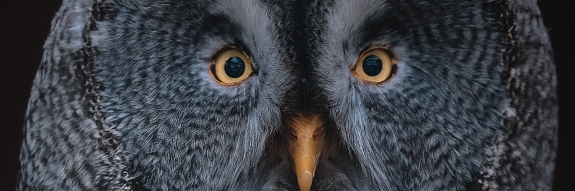 Okolo_2's profile banner image