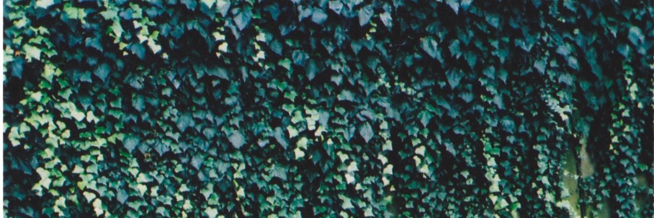 ilariaedera's profile banner image